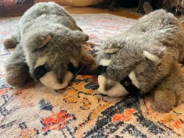 너구리 봉제 인형 2개 세트