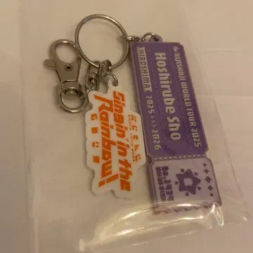 니지산지 SitR 히로시마 러버 키링 호시미치 쇼