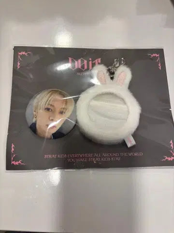 straykids 스키즈 리노 skzoo popup 팝업