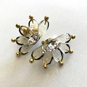 petiterobenoire 귀찌