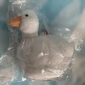 펠리시모 쫀득한 오리 파우치 미사용품 택 포함