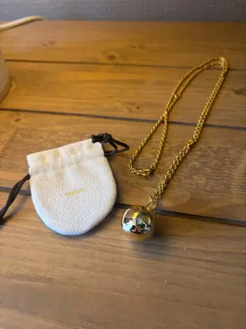 [CHIEKO+] 골드 목걸이 파우치 포함