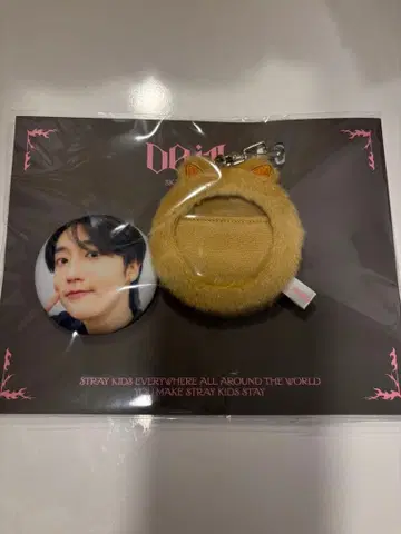 straykids 스키즈 한 popup 팝업 skzoo