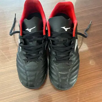 미즈노 축구 트레이닝 슈즈 모나르시다 25cm