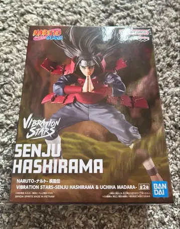 VIBRATION STARS 센쥬 하시라마