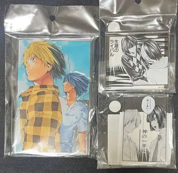 히카루의 바둑 원화전 토우야 아키라 신도 히카루 세트