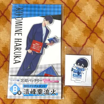 망각 배터리 청봉 하류화