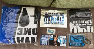 [미사용] YAZAWA 2025 도쿄돔 라이브 아레나 굿즈 세트