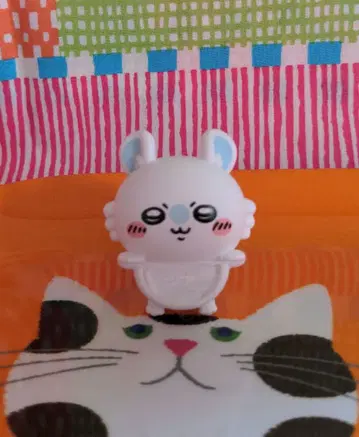 치이카와 히퍼스 모몽가