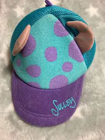 샐리 디즈니 캡