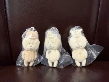 흉내쟁이 비숑 프리제들의 Capsule flockies 참