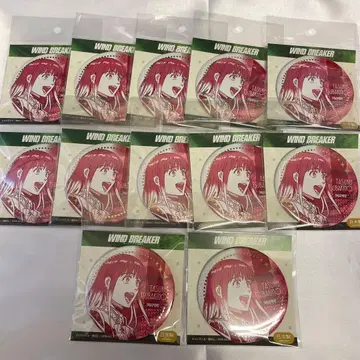 WIND BREAKER 윈브레 츠바키노 유 금박 캔뱃지