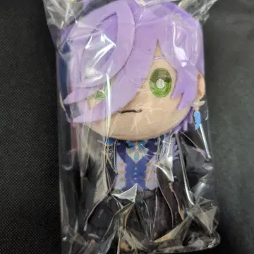 니지누이 사카키 네스