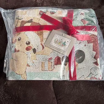 자카드 담요 포켓몬 홀리데이 블레싱스