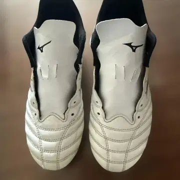 미즈노 모나르시다 네오 3 25cm