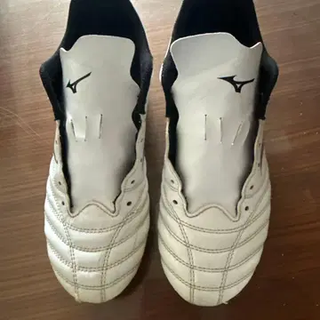 미즈노 모나르시다 네오 3 25cm