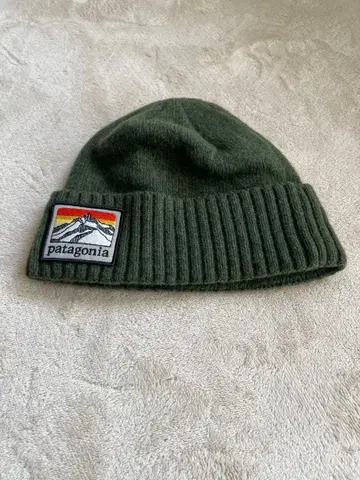 patagonia 브로데오 비니