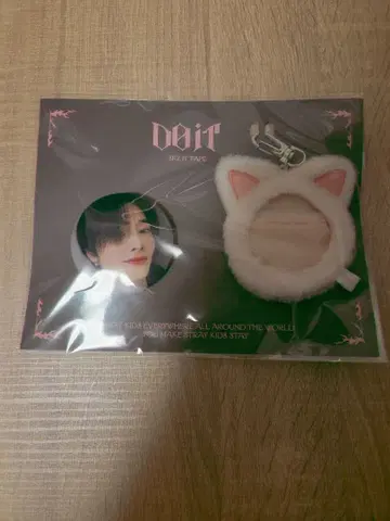 straykids 스키즈 DO It 팝업 배지 아이엔