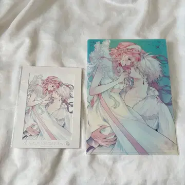 꽃 메테 스텔라 라비 포트레이트 클리어 파일 세트