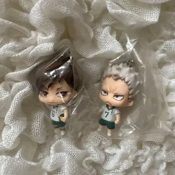 하이큐 카라코레 후타쿠치 아오네