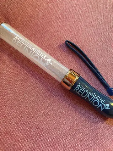 REUNION 2nd LIVE 응원봉