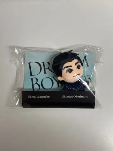 SixTONES 모리모토 신타로 DREAM BOYS 드림보이즈 봉제 인형