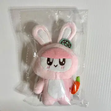 SEVENTEEN 봉봉이 키링