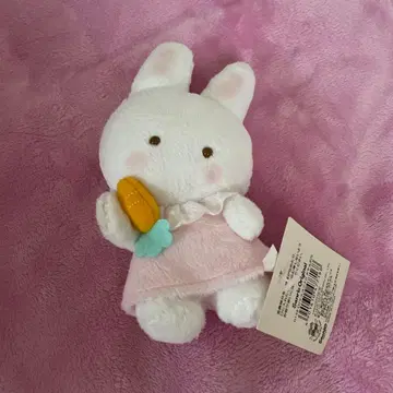 치어리참 마스코트 홀더