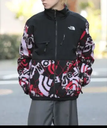 THE NORTH FACE 그래픽 다운 자켓 L