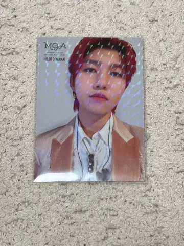 미세스 와카이 히로토 레어 트레이딩 카드 050