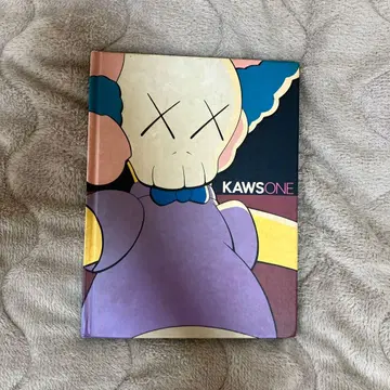 KAWS ONE 작품집