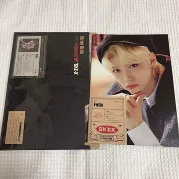 스키즈 필릭스 포토북 ID 카드 브로마이드 세트