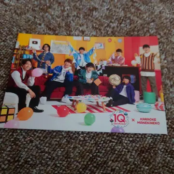 행운 고양이 QuizKnock 퀴즈노크 엽서 전원