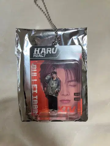 초특급 하루 Haru Real? 비주얼 카드형 키링