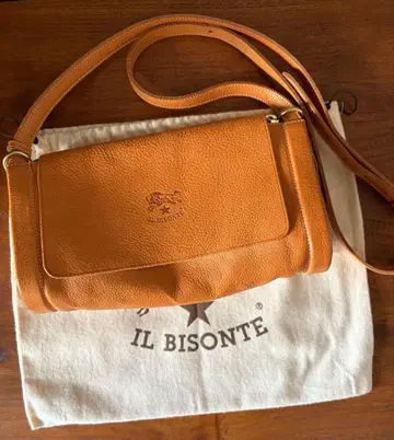 IL BISONTE 숄더백