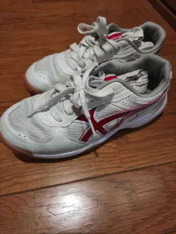 미즈노 문스타 스니커즈