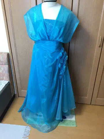 파란 비즈 장식 롱 드레스