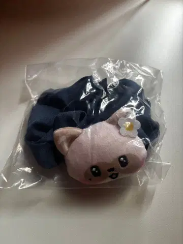 에니마이 복권 zeroni 하니니 스크런치 하오 ZEROBASEONE