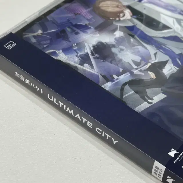 원가이하) 니지산지 카가미하야토 ULTIMATE CITY 통상 앨범 양도