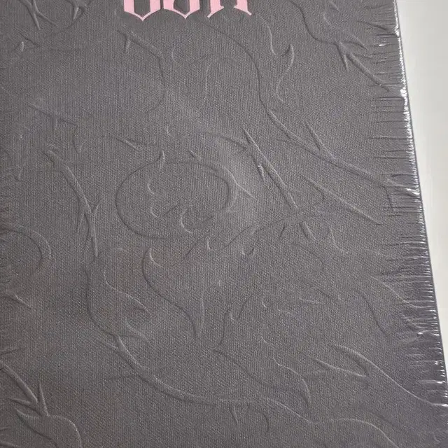 스트레이키즈 한정반 앨범