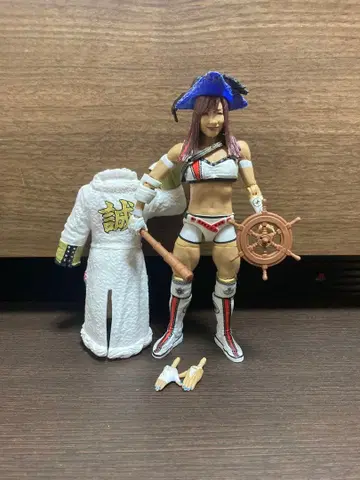 WWE 피규어 카이리 세인 마텔 엘리트 스타덤 호죠 카이리