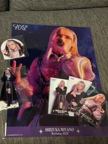 미야노 시즈 생일 축제 스키 복권