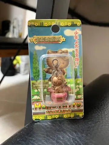 홋카이도 한정 헬로키티 스트랩