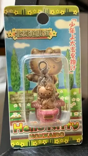 홋카이도 한정 헬로키티 스트랩