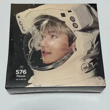 EXO 백현 퍼즐 SING FOR YOU