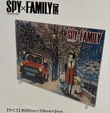 SPY x FAMILY전 박 아크릴 아트 [ 일루미네이션 ]