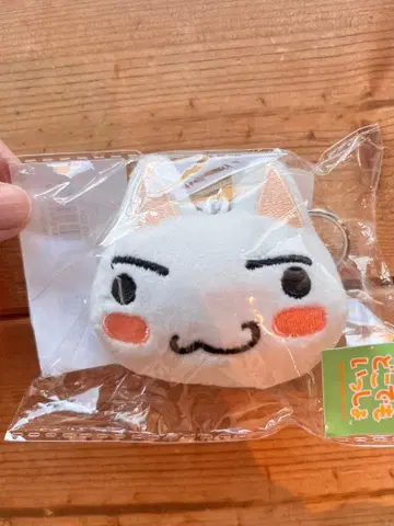 어디든지 함께 마스코트 키링 토로 노멀