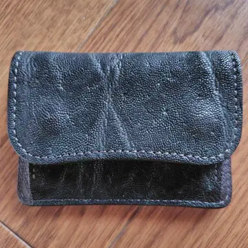 WILDSWANS 와일드 스완스 타앙 와일드 스완스 타앙 엘리펀트