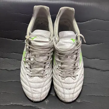 모나르시다 neo 3