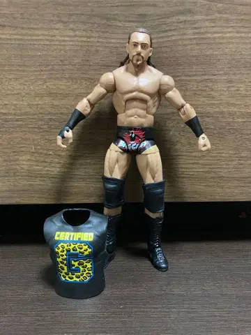 WWE 피규어 프로레슬링 빅 캐스 마텔 엘리트 NXT